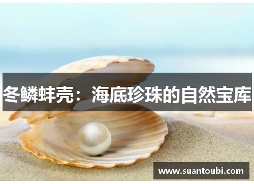 冬鳞蚌壳：海底珍珠的自然宝库