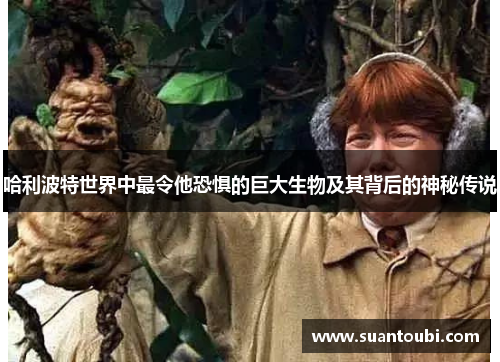 哈利波特世界中最令他恐惧的巨大生物及其背后的神秘传说