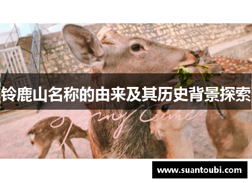 铃鹿山名称的由来及其历史背景探索