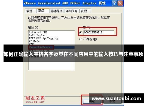 如何正确输入空格名字及其在不同应用中的输入技巧与注意事项